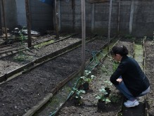 Sede Barrial Medalla Milagrosa.