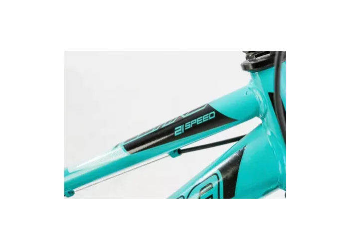 Bicicleta r.29 mtb acero dama techno 21v(5304)