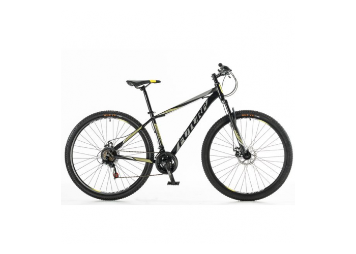 Bicicleta r.29 mtb  cheetah acero futura 21v
