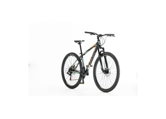 Bicicleta r.29 mtb  cheetah acero futura 21v