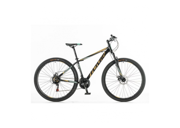 Bicicleta r.29 mtb  cheetah acero futura 21v